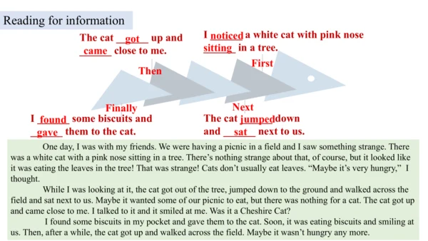 Unit 3 Language practice (2) & Around the world & 