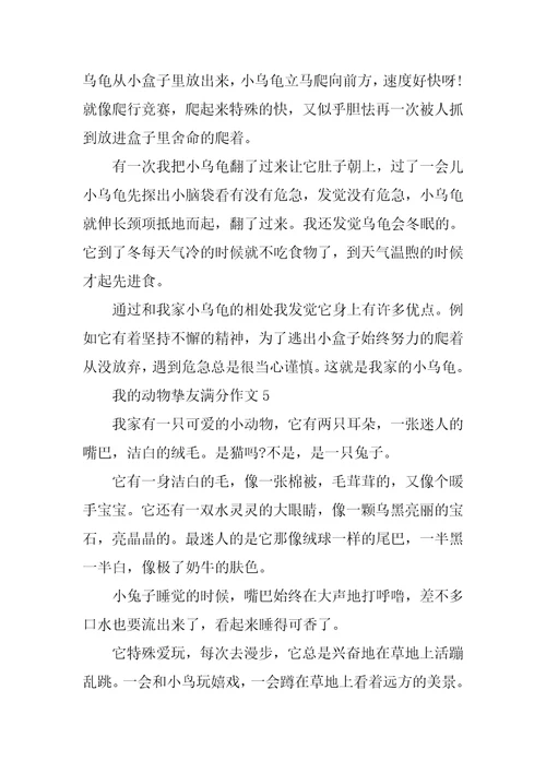 最新我的动物朋友满分作文
