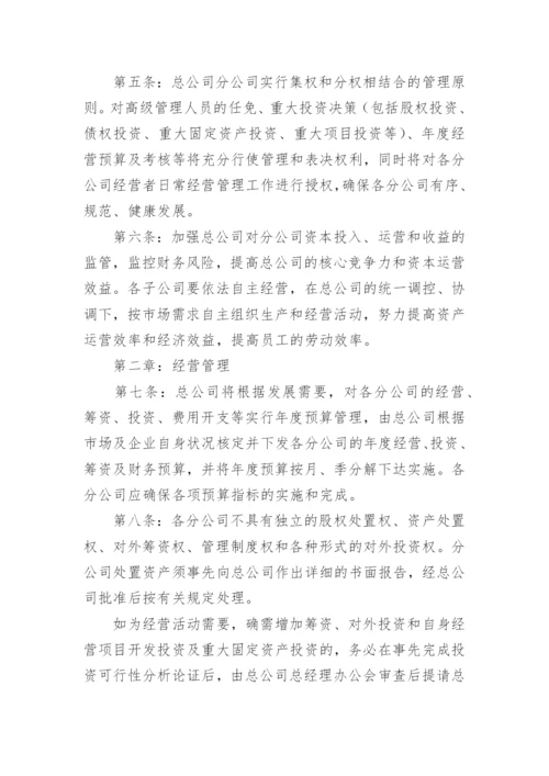 分公司管理制度_3.docx