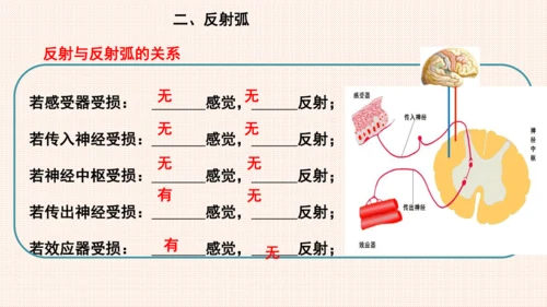 4.6.3神经调节的基本方式（课件）-七年级生物下册备课无忧（人教版）(共17张PPT)