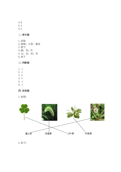 教科版科学一年级上册第一单元《植物》测试卷及完整答案一套.docx