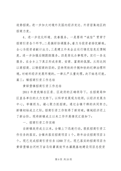 乡镇招商引资年终个人工作总结.docx