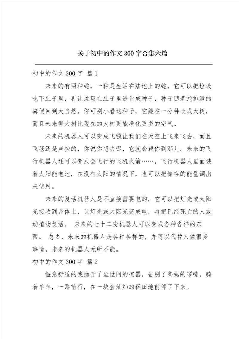 关于初中的作文300字合集六篇