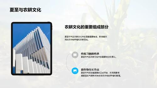 夏至农耕与科技融合