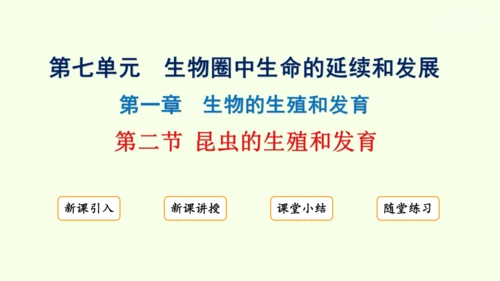 7.1.2昆虫的生殖和发育-八年级生物人教版下学期同步精品课件(共29张PPT)