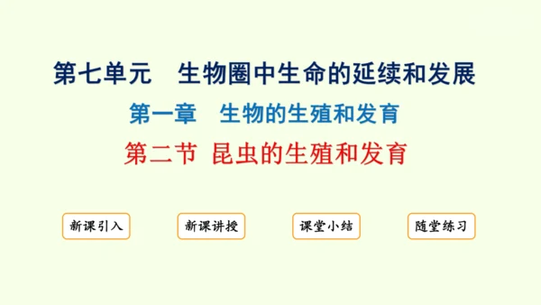 7.1.2昆虫的生殖和发育-八年级生物人教版下学期同步精品课件(共29张PPT)