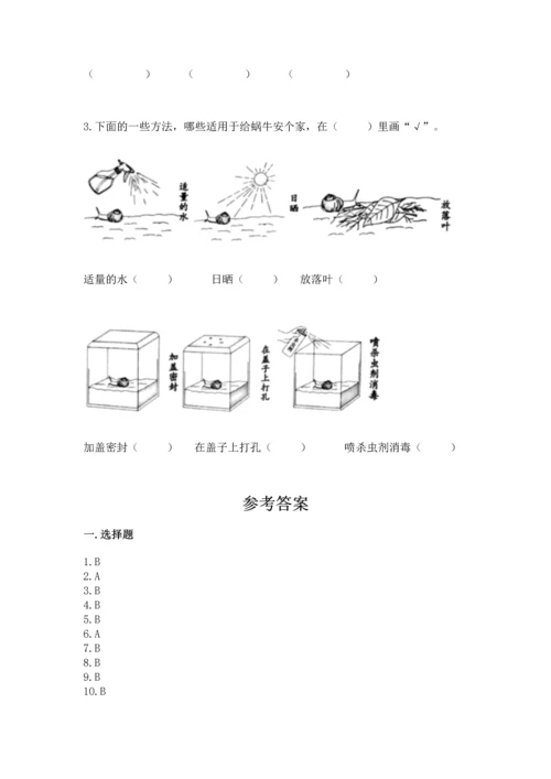 教科版一年级下册科学期末测试卷【历年真题】.docx