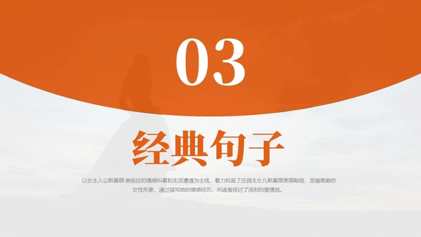 实拍风橙色飘不走的梦和人《飘》读书分享PPT课件