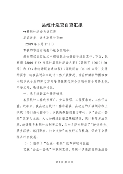 县统计巡查自查汇报 (2).docx