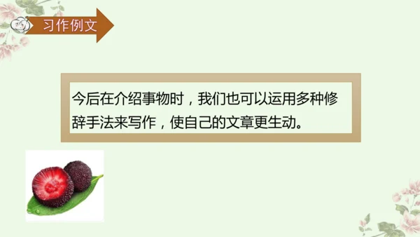 第五单元习作例文我爱故乡的杨梅