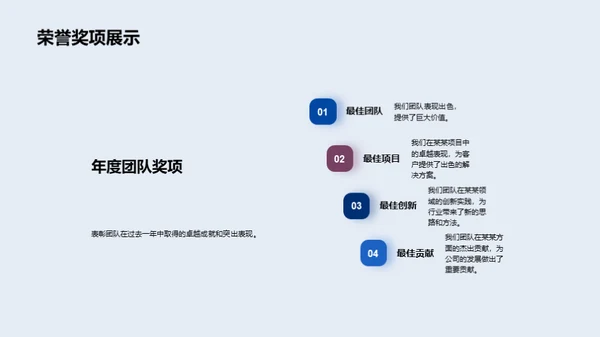 团队年度成就与展望