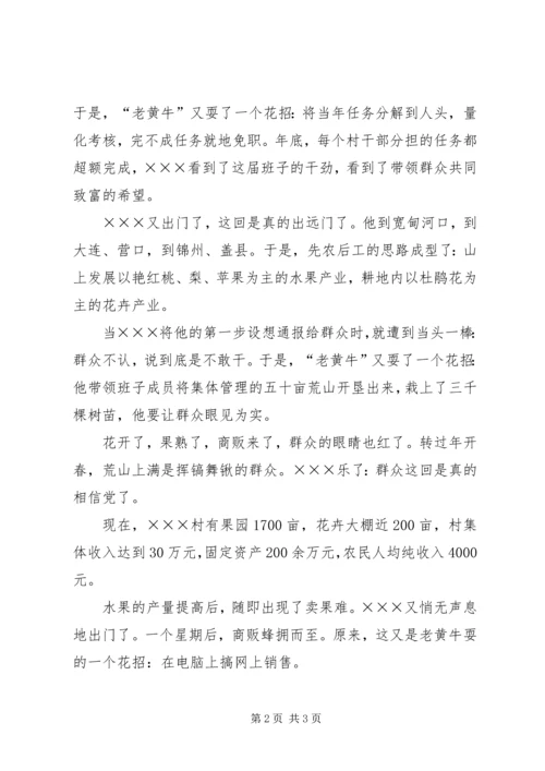 村党支部书记先进事迹材料 (14).docx