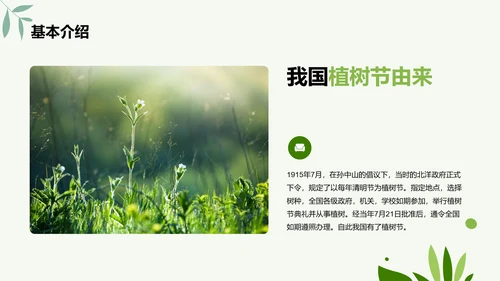 绿色简约扁平植树节节日科普PPT