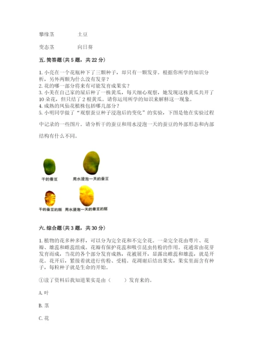 科学四年级下册第一单元植物的生长变化测试卷【精华版】.docx