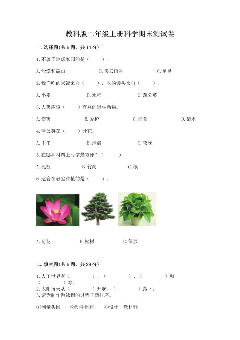 教科版二年级上册科学期末测试卷【典优】.docx