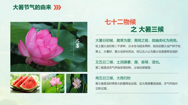 国风荷花二十四节气大暑教学PPT课件