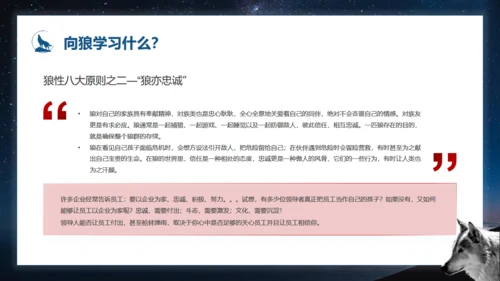 如何打造狼性团队培训狼文件通用PPT模板
