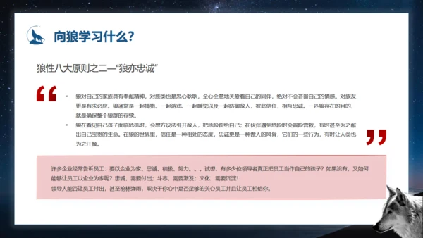 如何打造狼性团队培训狼文件通用PPT模板