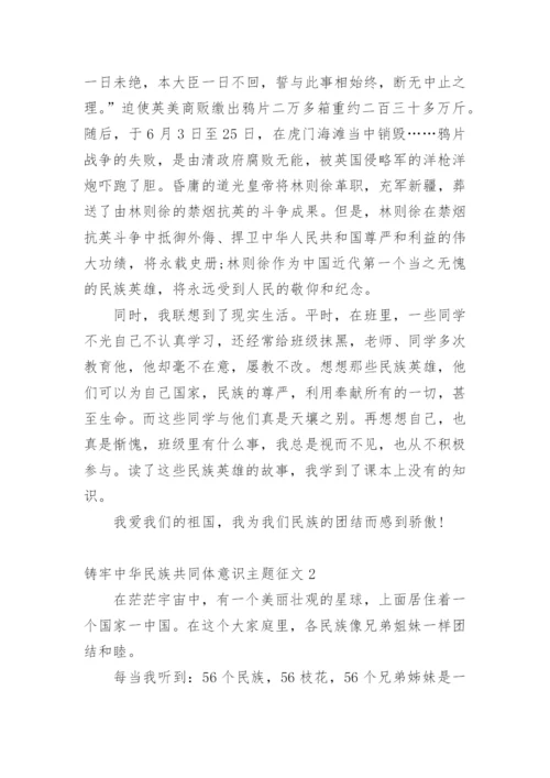 铸牢中华民族共同体意识主题征文10篇.docx