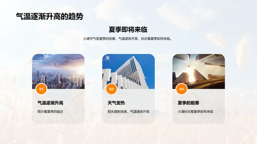 小满节气的影响及应对