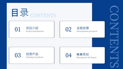 蓝色实用简约商务风目录页