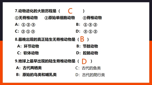 生命起源和生物进化企鹅通用PPT模板