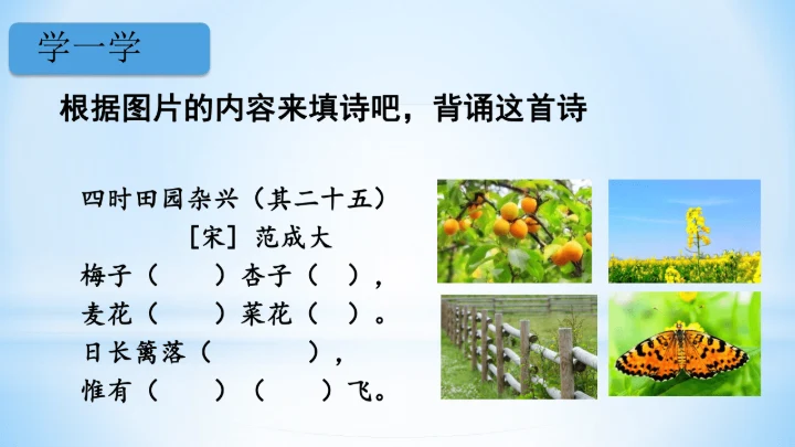 统编版四年级下册语文同步备课系列四时田园杂兴（其二十五）(教学课件)