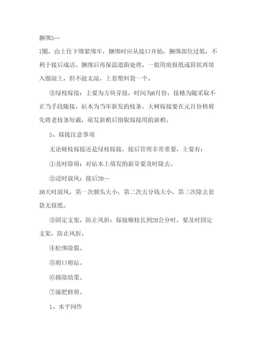 核桃栽培管理技术