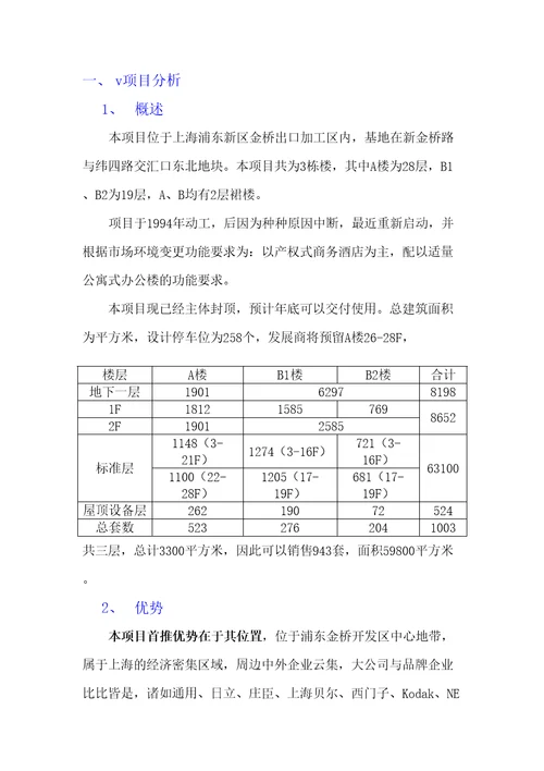 碧云中惠项目策划书