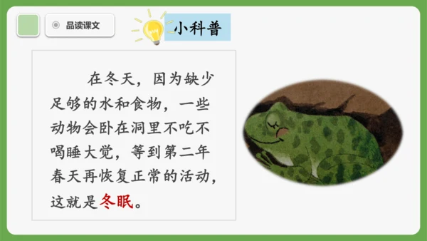 3《雪地里的小画家》课件