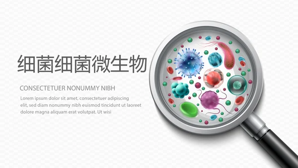 医疗医学细菌微生物动态PPT