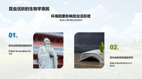 小暑节气科学探索