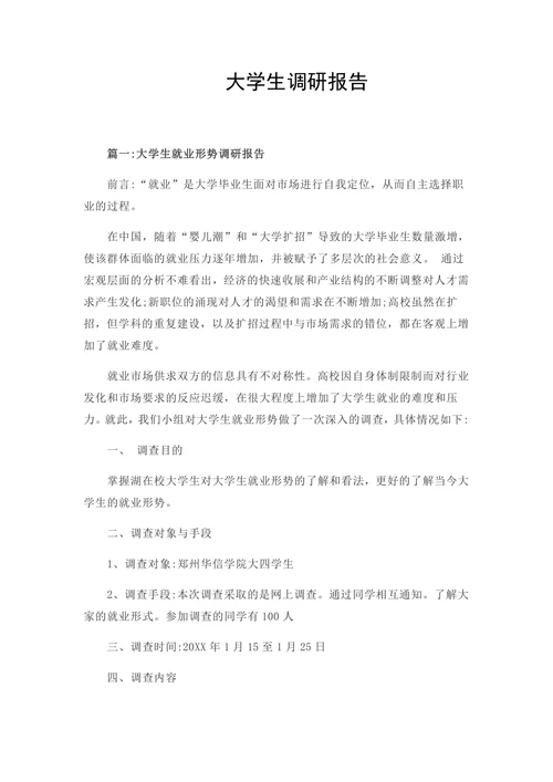 大学生调研报告模板通用模板
