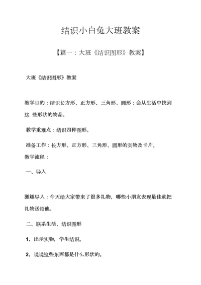 认识小白兔大班教案.docx