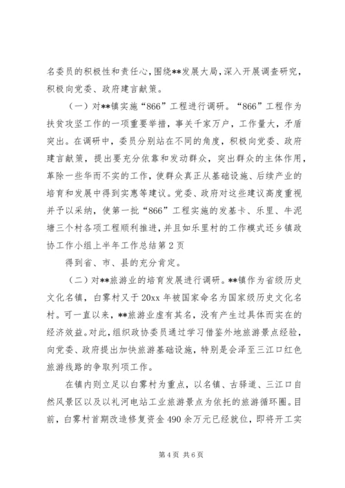 乡镇政协工作小组上半年工作总结.docx