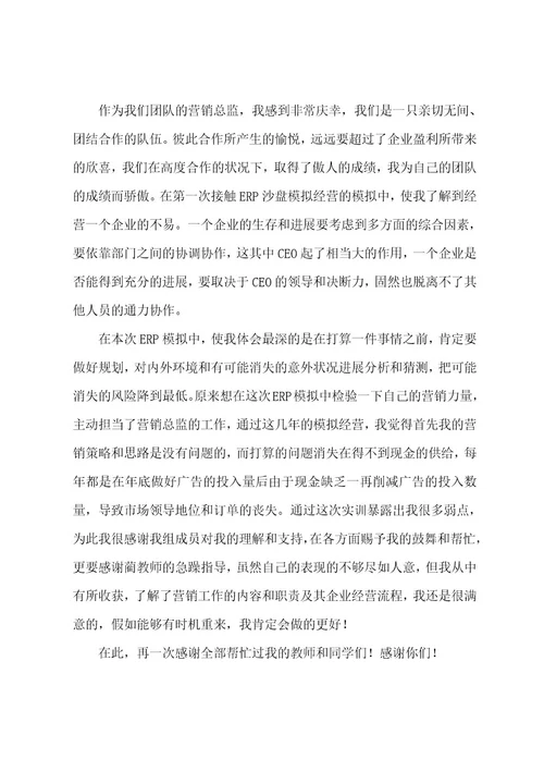 营销总监年终工作总结