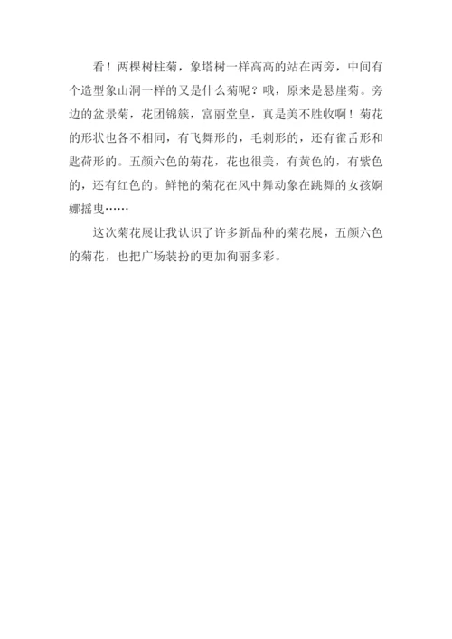 观菊花作文0.docx