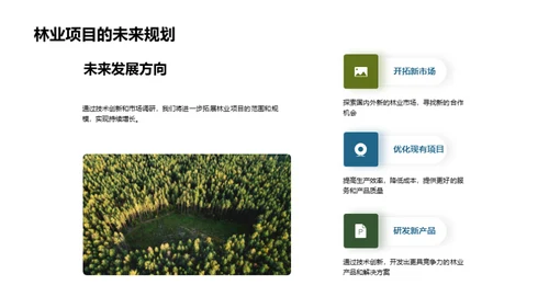 林业进步路