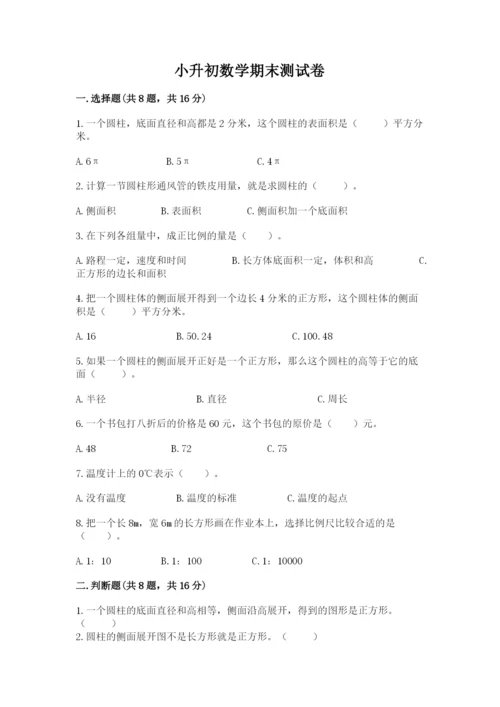 小升初数学期末测试卷精品【巩固】.docx