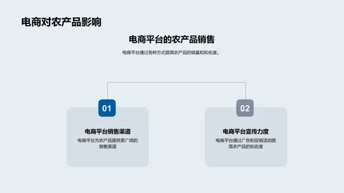 双十一农产品电商策略PPT模板