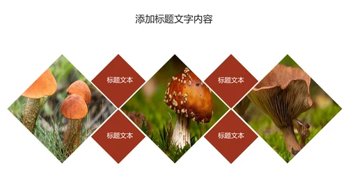 蘑菇菌类养生文化宣传动态PPT模板