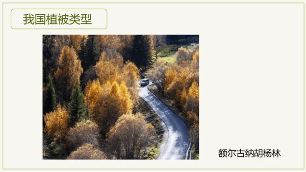 3.6 爱护植被，绿化祖国2023-2024学年七年级生物上学期同步精品课件（人教版）(共21张PP
