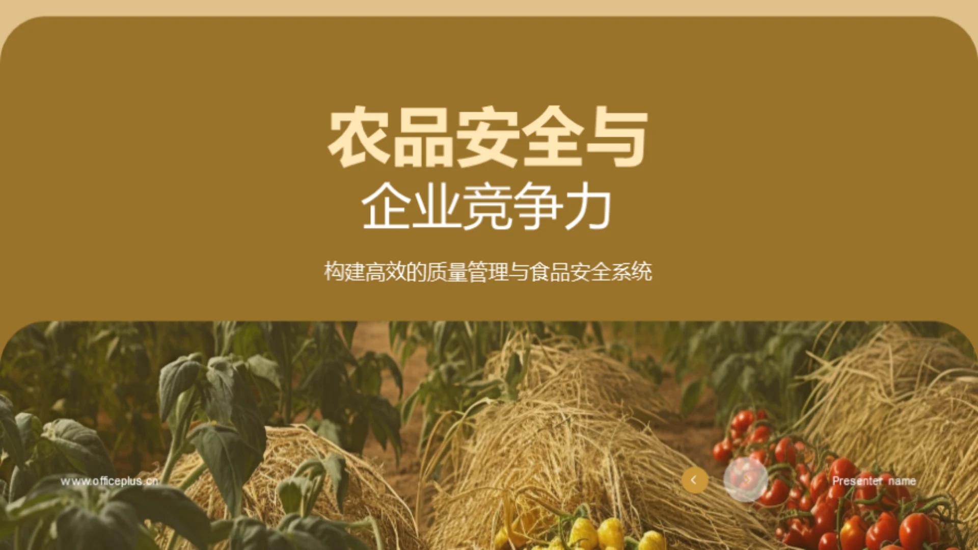 农品安全与企业竞争力