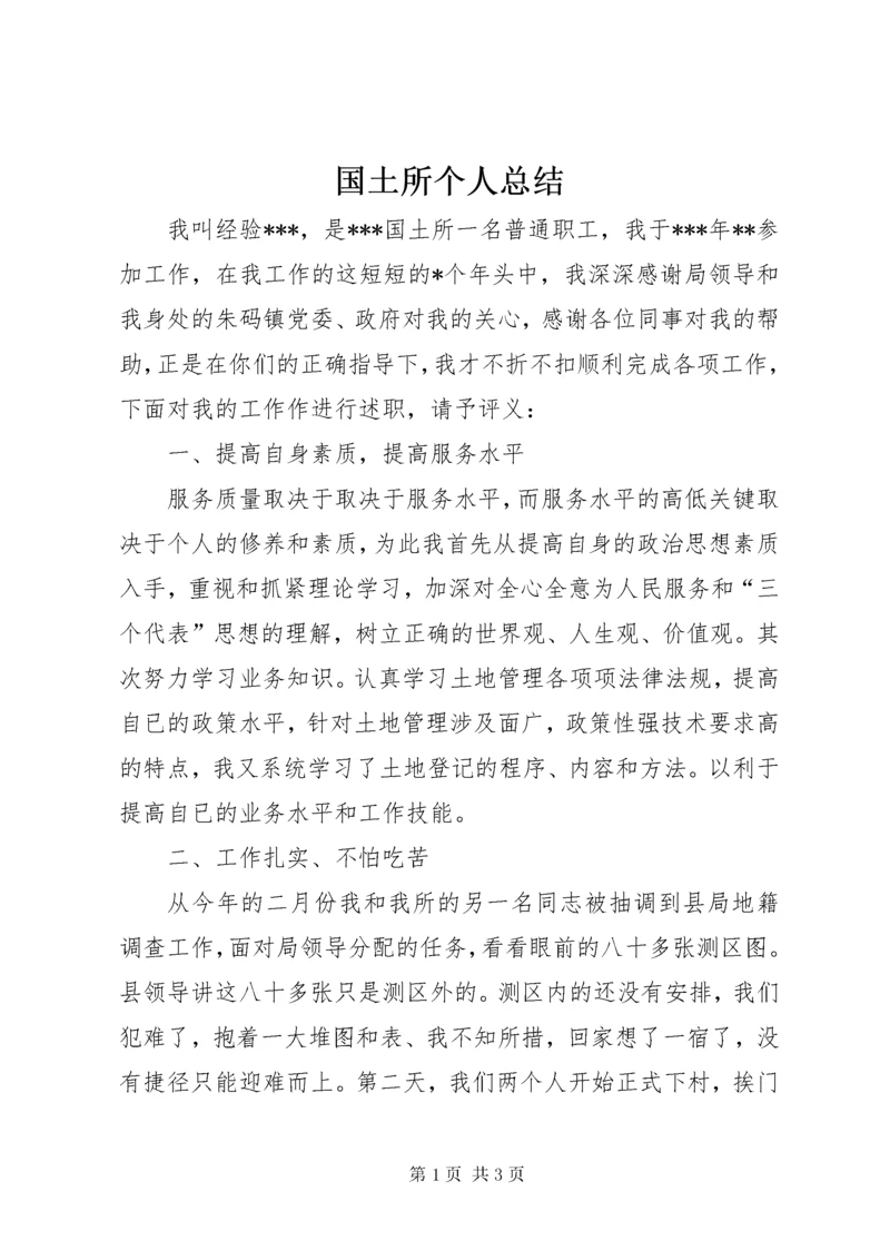 国土所个人总结.docx