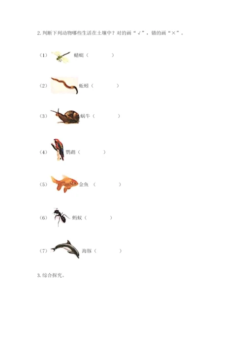 教科版小学二年级上册科学期末测试卷【综合题】.docx