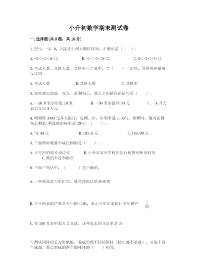 小升初数学期末测试卷新版.docx