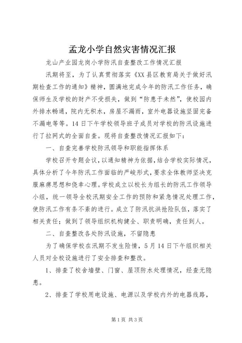 孟龙小学自然灾害情况汇报.docx