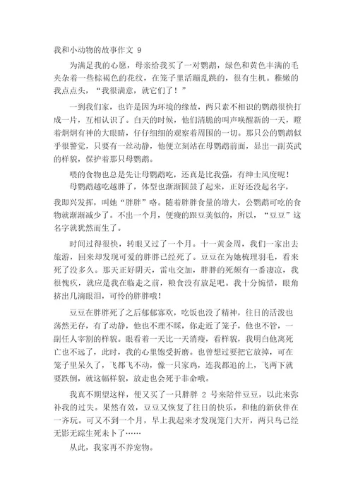 我和小动物的故事作文