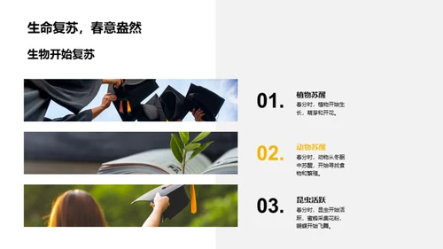 春分的奥秘与乐趣