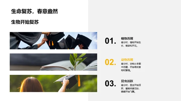 春分的奥秘与乐趣